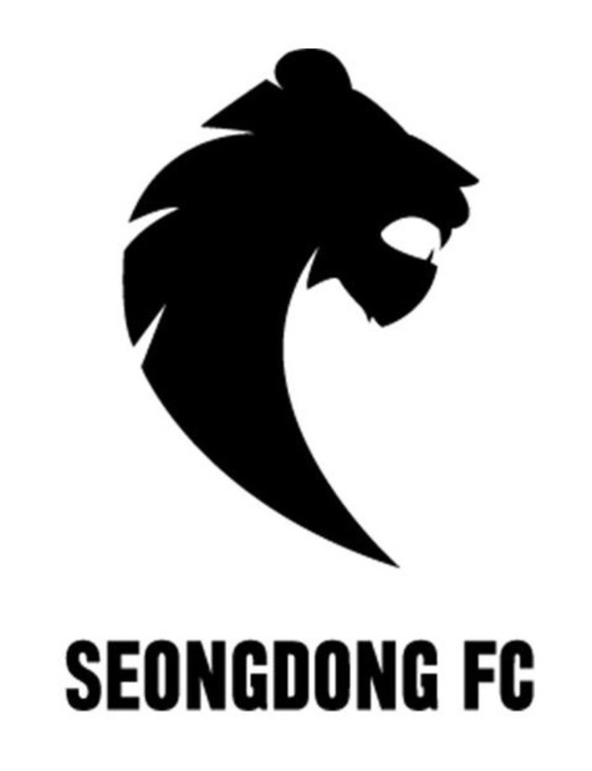성동FC 검정 사자 엠블럼과 SEONGDONG FC 로고